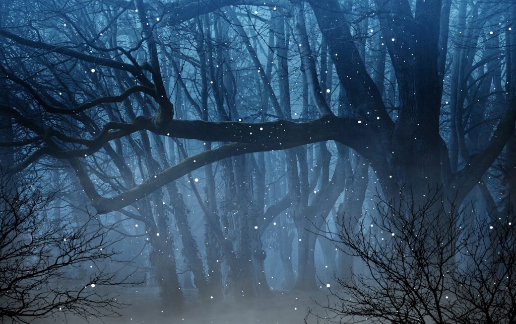 Image of a forest with fireflies