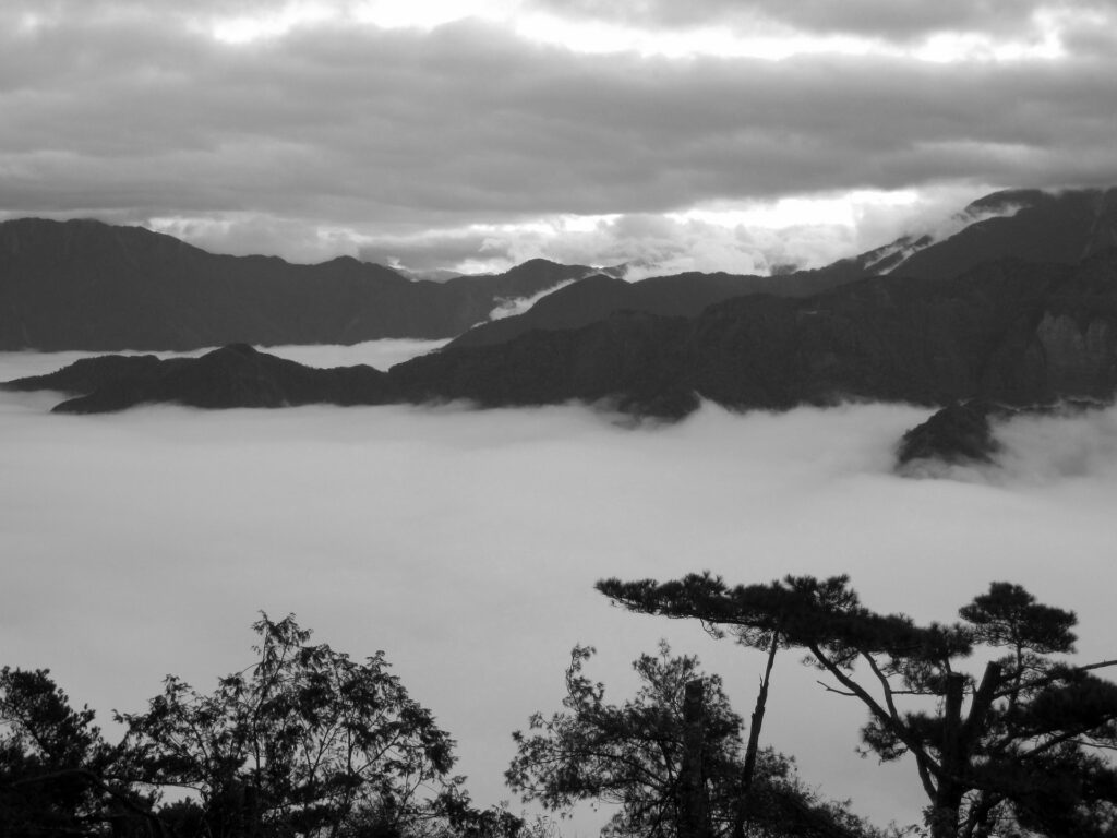 Photo: Sea of clouds atop Mount Ali