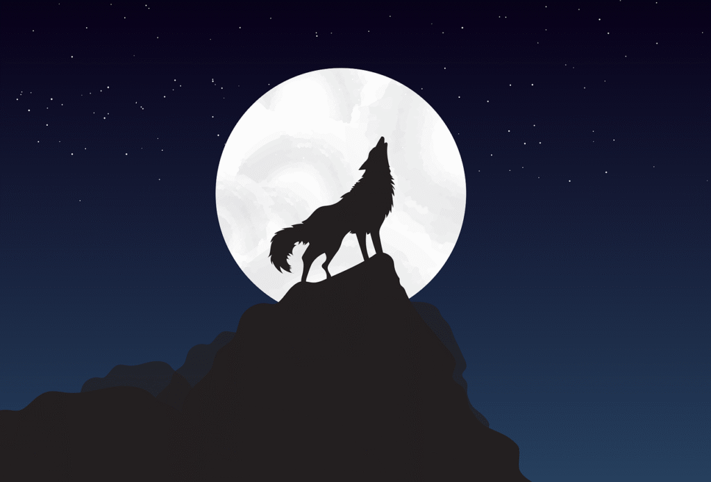 Image: Wolf and full moon